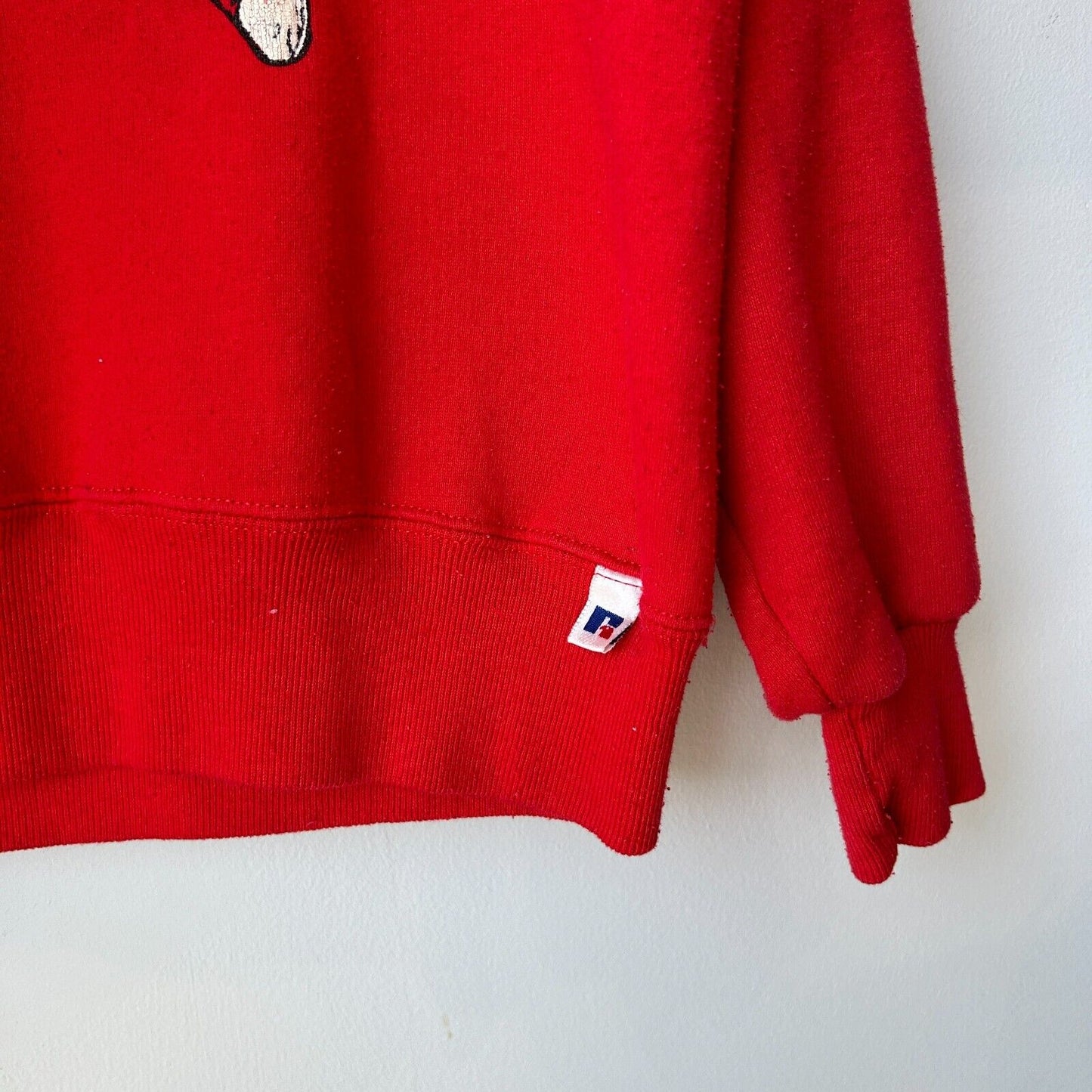 VINTAGE 90s | AIR Bucky Wisconsin Basketball Russell Sweater sz L Adult