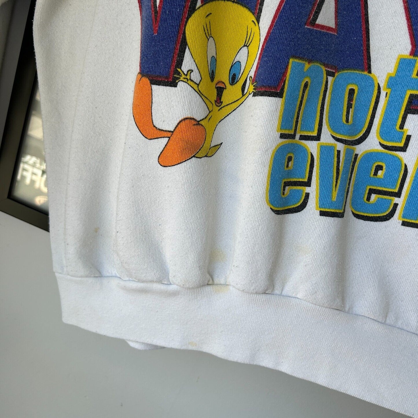 VINTAGE 90s | Looney Tunes No Way Not Ever Cartoon Crewneck Sweater sz M