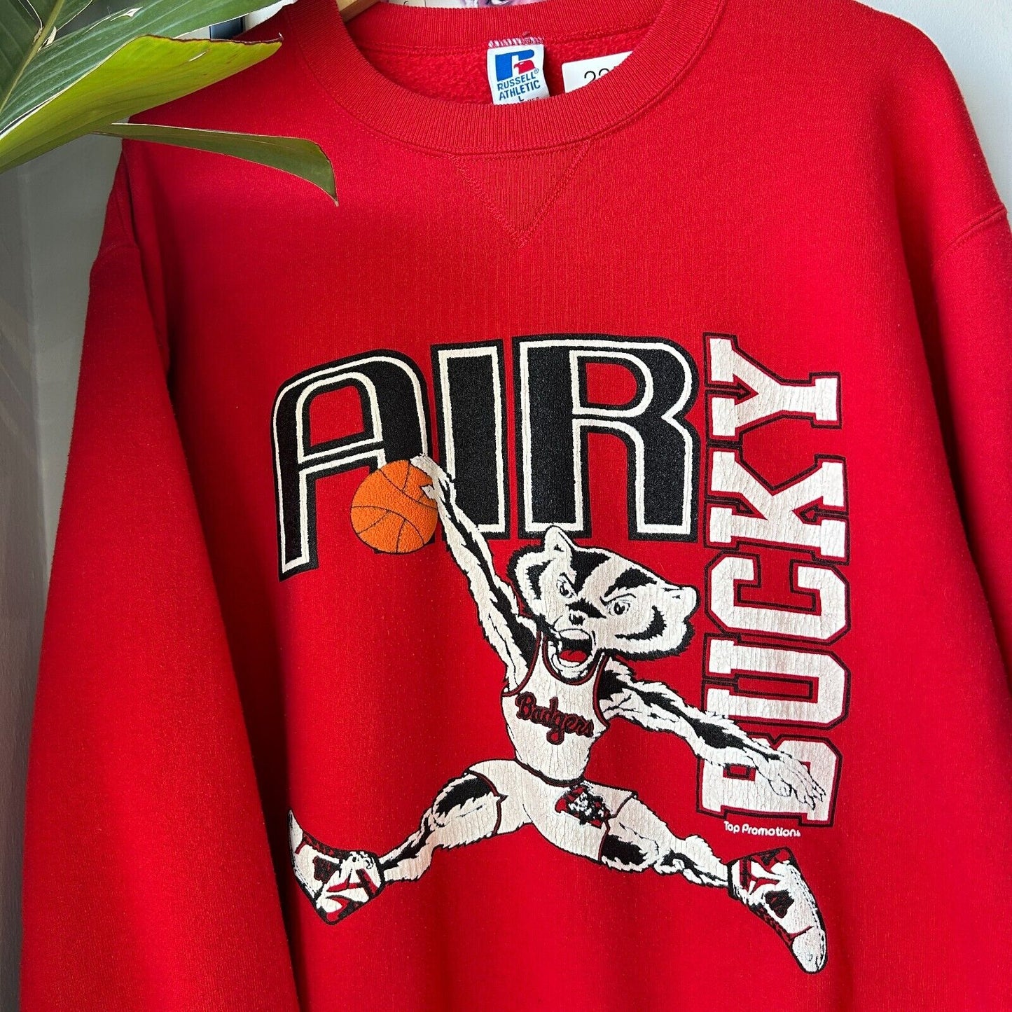 VINTAGE 90s | AIR Bucky Wisconsin Basketball Russell Sweater sz L Adult
