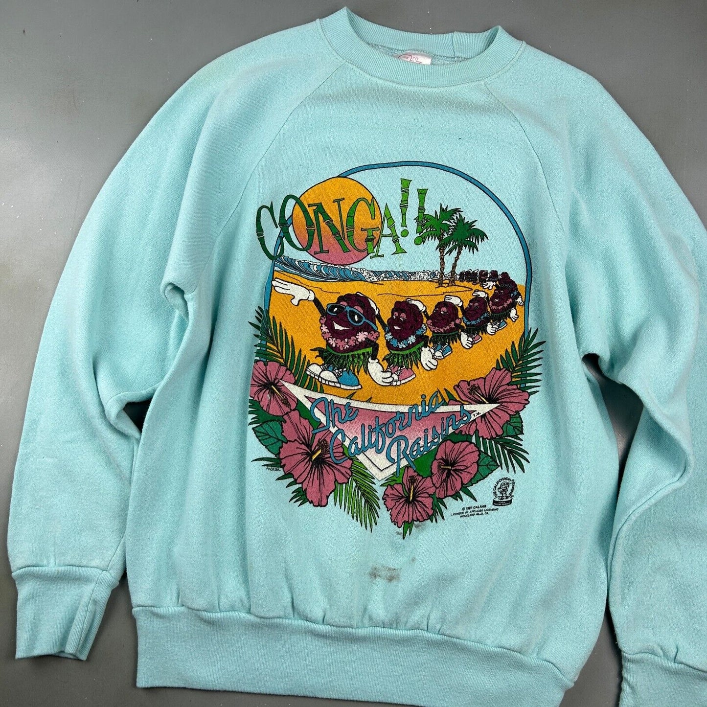 VINTAGE 1987 | The California Raisins Conga! Crewneck Sweater sz M Adult